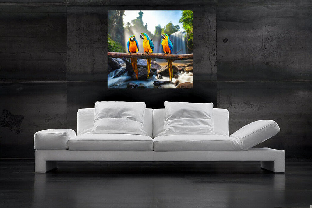 Colourful Parrots Macaws Cotton Canvas Wall Art Picture Print