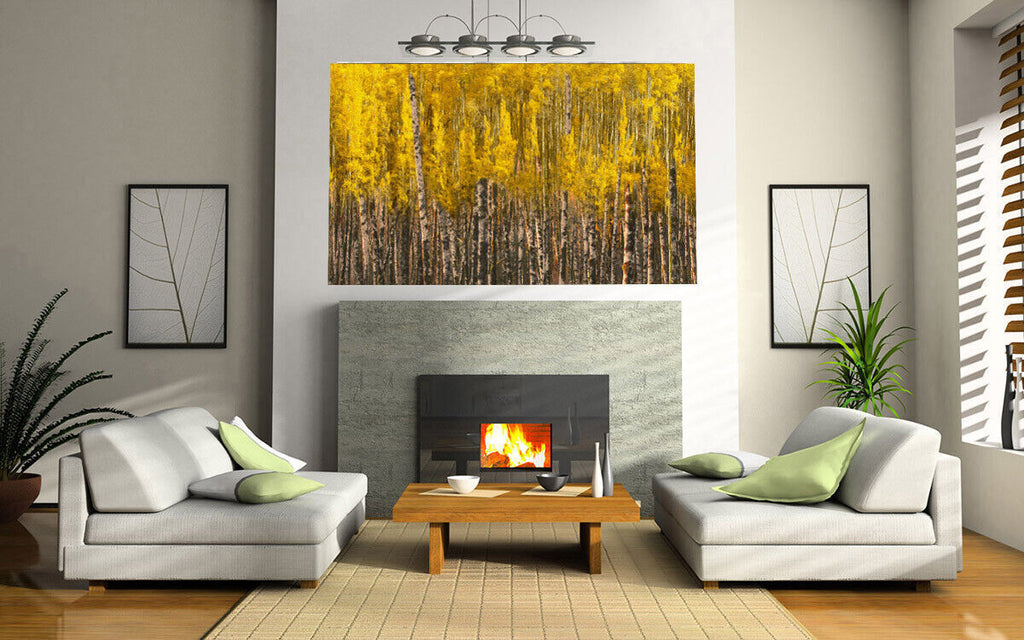 Yellow Aspen Trees Forest Nature Oil Painting CANVAS WALL ART Picture Print