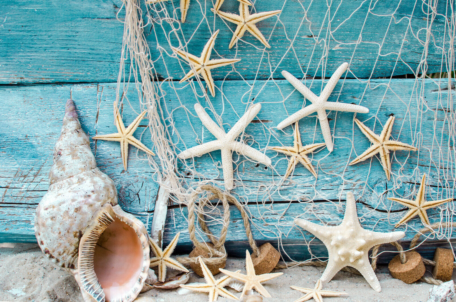 Blue Maritime Sea Creatures Bathroom Canvas Wall Art Picture Print