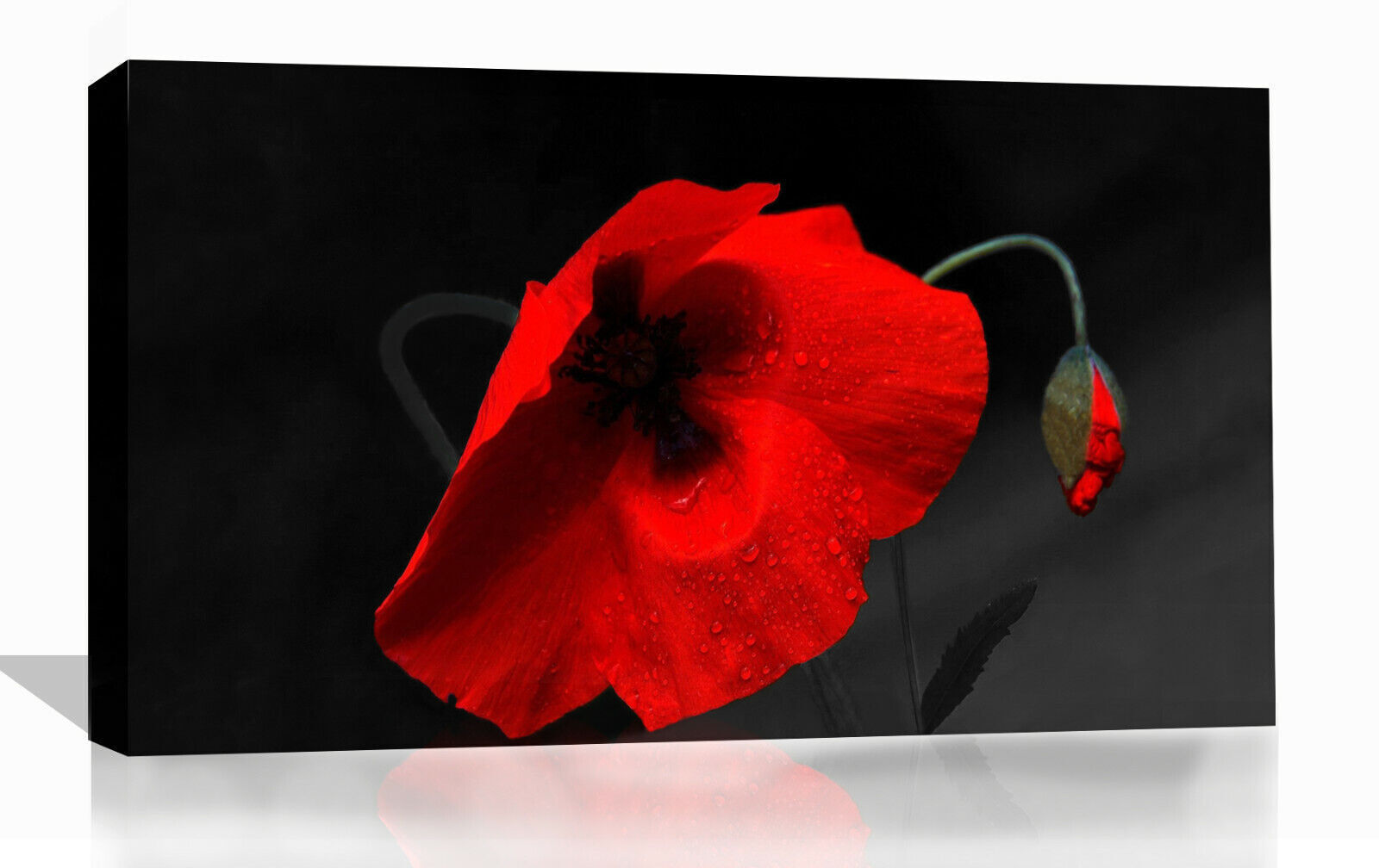 Black Red Floral Poppy Canvas Wall Art Picture Print