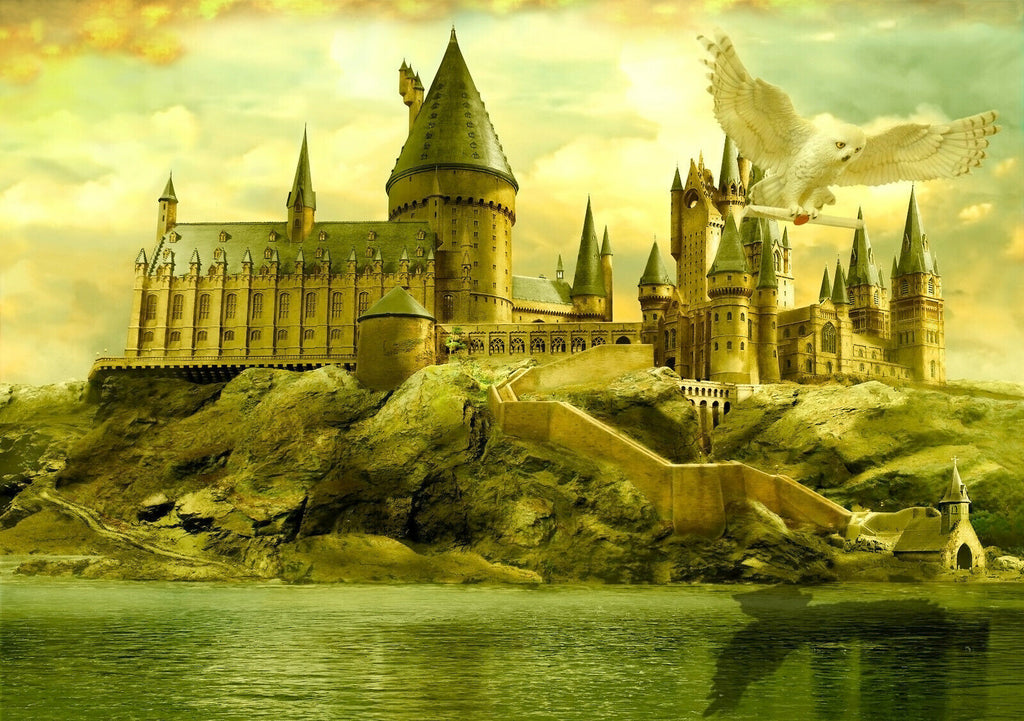 Harry Potter Hogwarts School & Owl Canvas Wall Art Picture Print