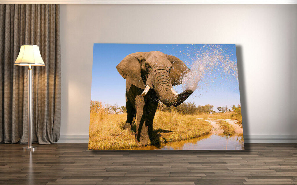 Elephant in Safari Splashing in Water Canvas Wall Art Picture Print