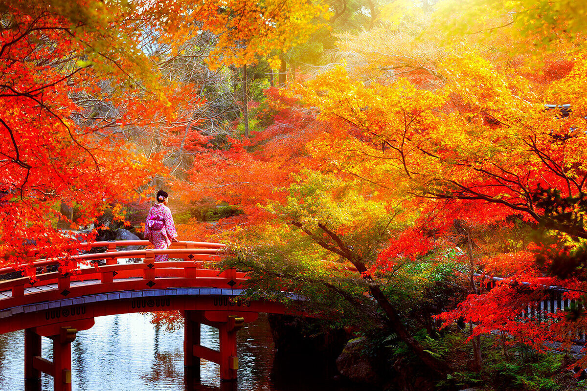 Japanese Autumn Leaves Trees Canvas Wall Art Picture Print