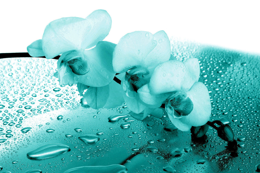 Teal Orchid Floral Canvas Wall Art Picture Print - ALL SIZES